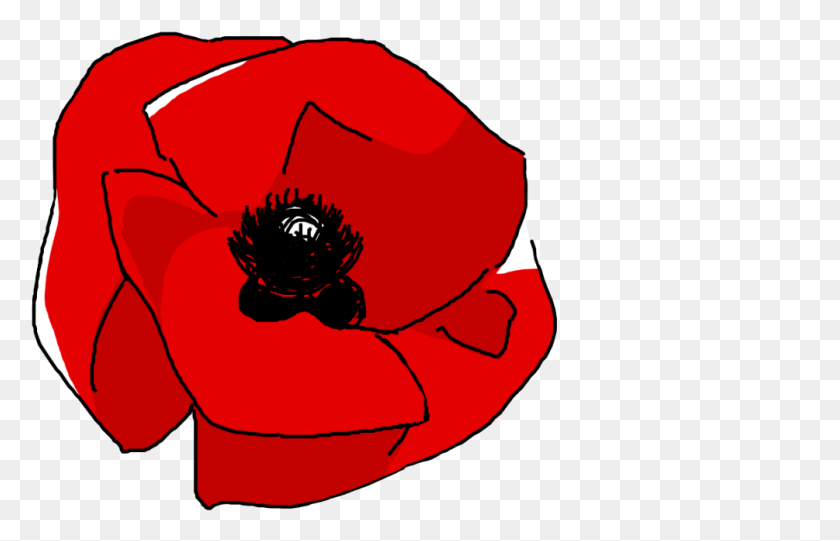 1005x621 For Your Blog Today Poppy, Plant, Flower, Blossom HD PNG Download