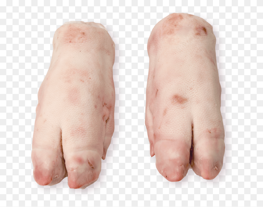 657x601 Fore Feet Pig39s Trotters, Hand, Wrist, Heel HD PNG Download