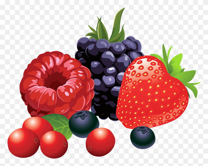 3202x2507 Forest Fruits Vector Clipart Image Fruit Clipart, Plant, Food, Raspberry HD PNG Download