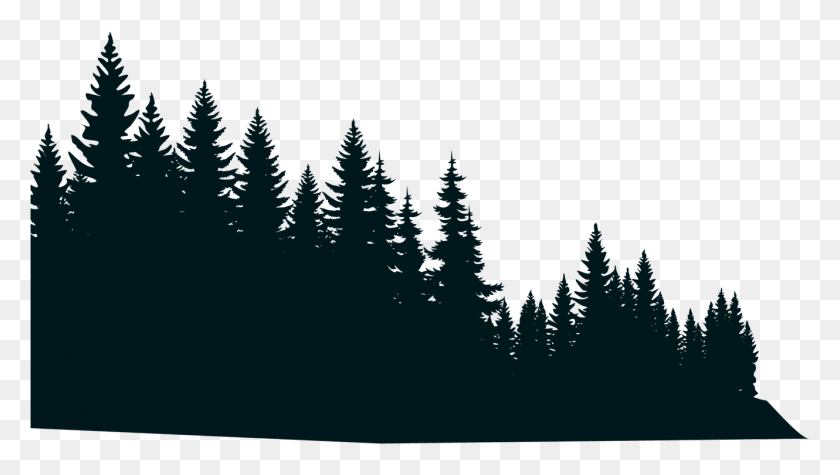 1330x708 Лесной Графический Дизайн, Дерево, Растение, Ель Hd Png Скачать