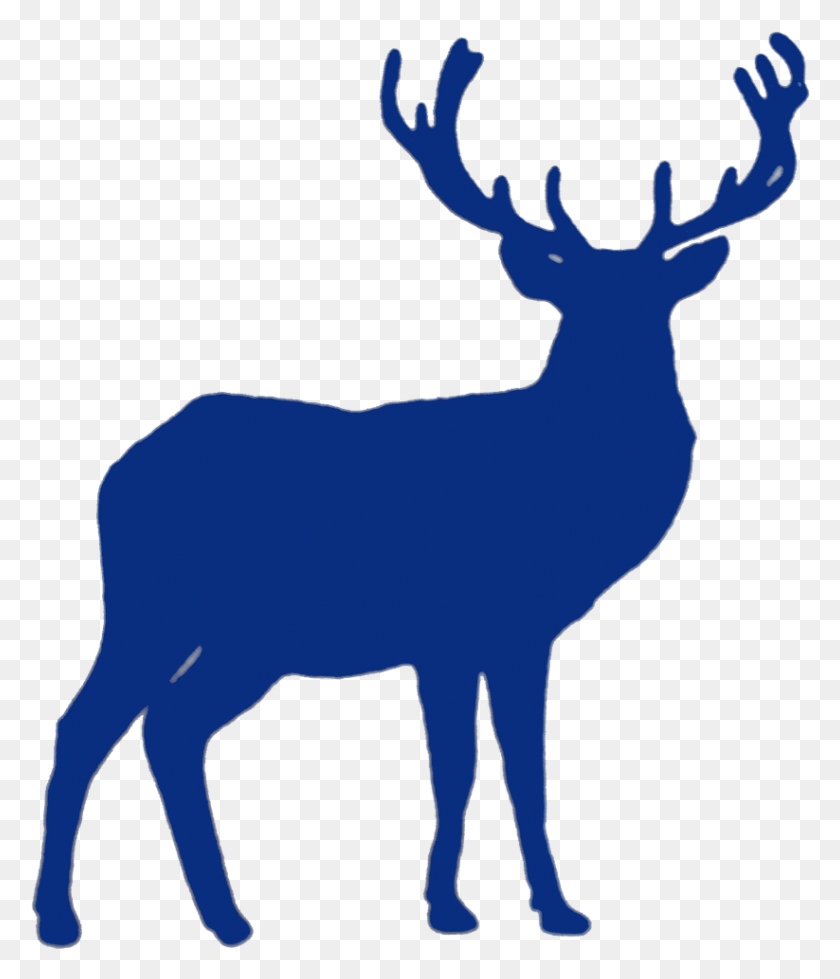 823x970 Forest Life Blue Reindeer Transparent, Elk, Deer, Wildlife HD PNG Download