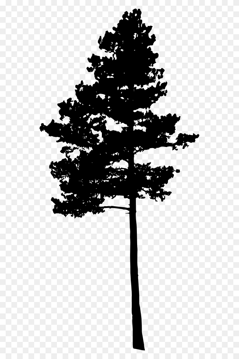 563x1200 Лесной Силуэт Переносимая Сетевая Графика, Растение, Дерево Hd Png Скачать