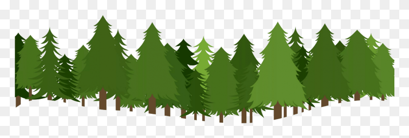 1281x370 Forest Transparent Photo Pine Tree Forest Clipart, Tree, Plant, Ornament HD PNG Download
