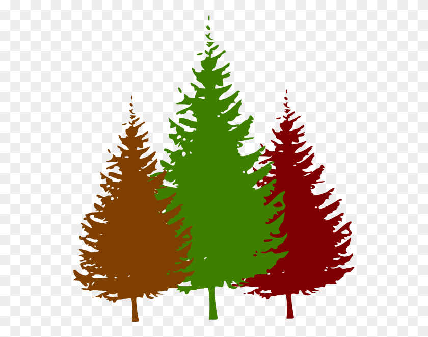 552x601 Лесной Вид Логотип 3 Клипа В Clker Лесное Дерево Клипарт Клипарт Сосны Черный И Белый, Растение, Рождественская Елка, Орнамент Hd Png Скачать