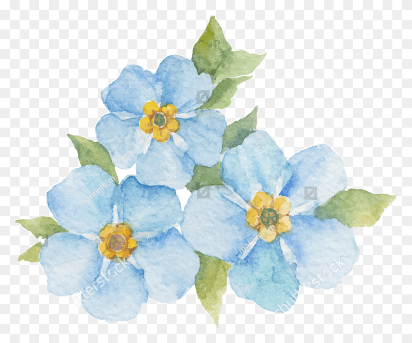 1024x839 Forgetmenot Scfloral Floral Freetoedit Forget Me Not Flowers Clipart, Plant, Anemone, Flower HD PNG Download