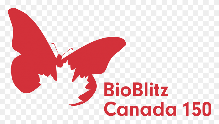 1790x955 Format Format Bioblitz Canada, Animal, Invertebrate, Symbol HD PNG Download