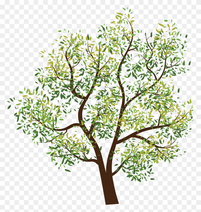 1760x1873 Format Tree Clipart, Plant, Leaf, Graphics HD PNG Download
