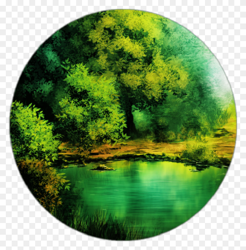 1024x1041 Forrest Sticker Forest With Lake Drawing, Sphere, Fisheye, Hole HD PNG Download