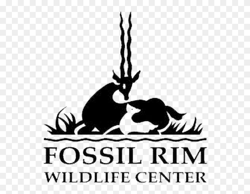 566x591 Fossil Rim Family Fun Fossil Rim Wildlife Center Logo, Symbol, Text, Trademark HD PNG Download