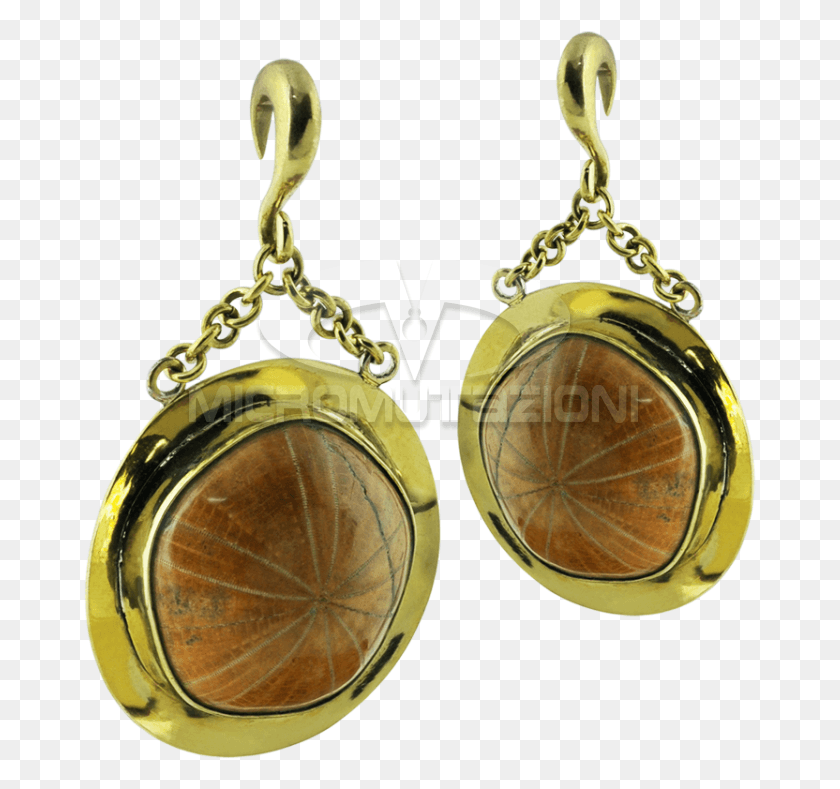 673x729 Fossil Sea Urchin In Brass Pendant Earrings Ear Earrings, Accessories, Accessory, Jewelry HD PNG Download