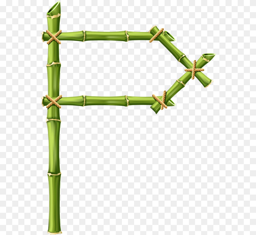 Fotki, Bamboo, Plant PNG