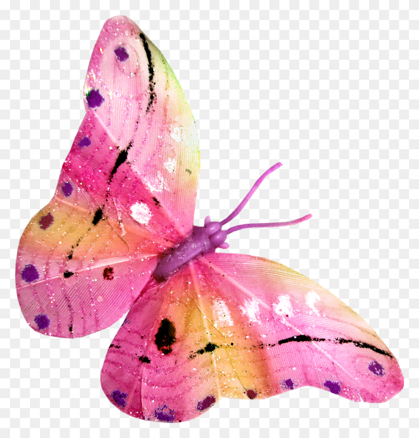 973x1024 Fotki Beautiful Butterflies Bug Images Butterfly, Plant, Flower, Blossom HD PNG Download
