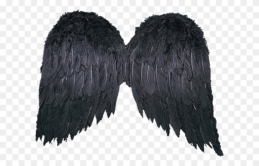 613x479 Fotki Black Angel Costume Black Costume Adult Halloween Black Feather Wings, Fur, Cushion, Slate HD PNG Download