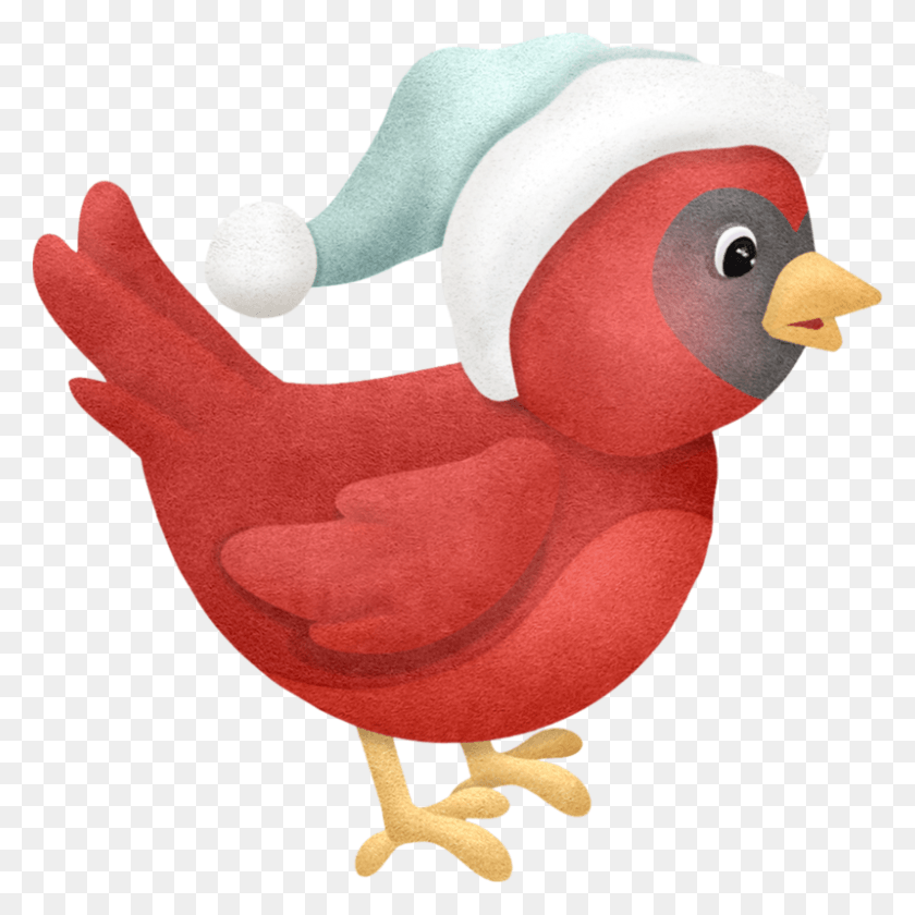 799x800 Fotki Christmas Bird Christmas Lights Зимний Клипарт Петух, Животное, Клюв, Плюшевый Hd Png Скачать