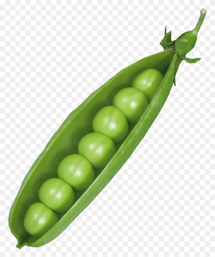 831x1003 Fotki Fruits And Vegetables Images Vegetable Cartoon Pod Pea, Plant, Food HD PNG Download