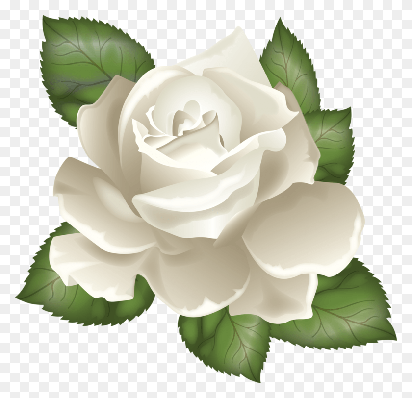 1024x988 Fotki Leaf Clipart Роза Клипарт Вектор Цветы Листья, Цветок, Растение, Цвести Hd Png Download