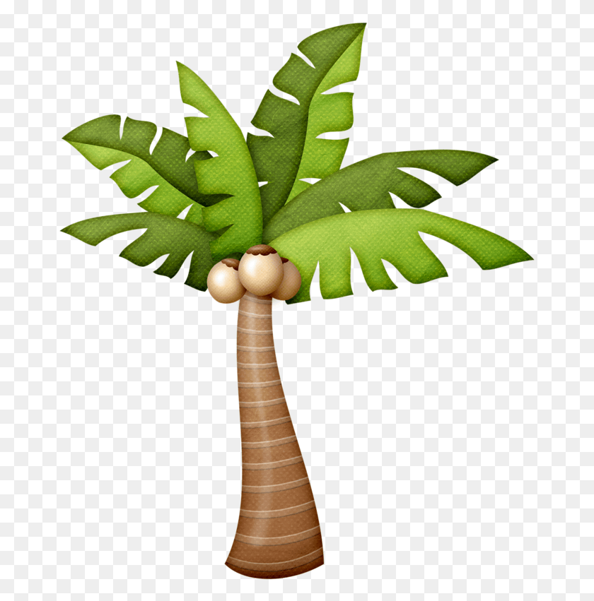 673x791 Descargar Png Fotki Palm Tree Pictures Summer Clipart Beach Clipart Dibujo Palmera, Leaf, Plant, Produce Hd Png
