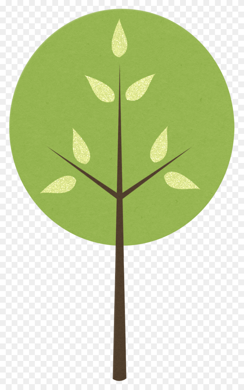 775x1280 Fotki Trees To Plant Tree Of Life Clip Art Trees Circle, Leaf, Pattern, Ornament HD PNG Download