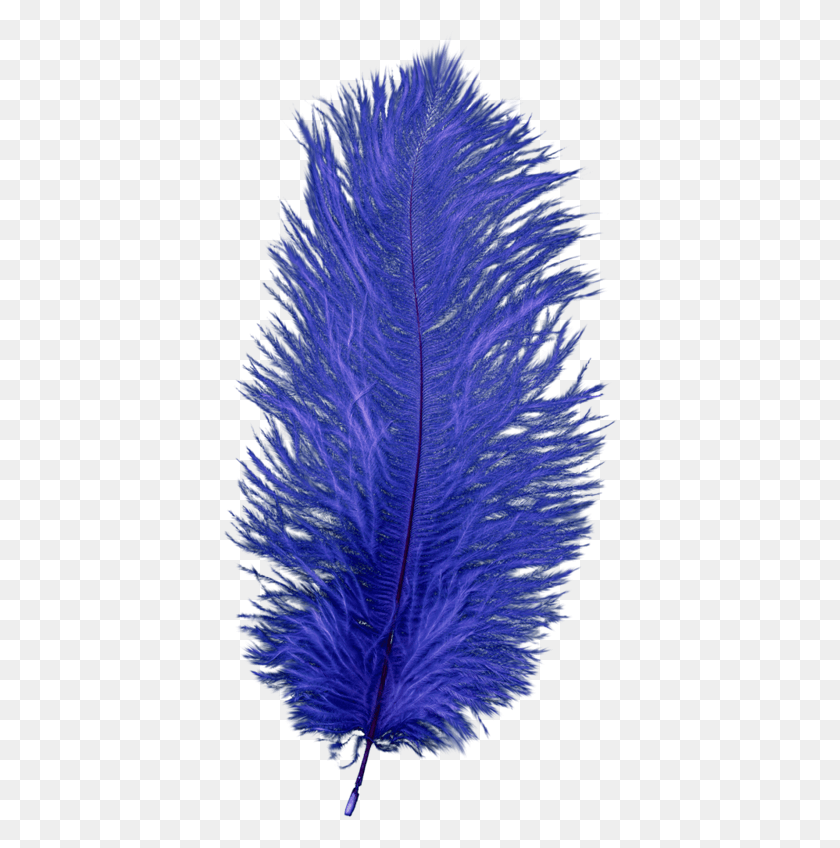 396x788 Fotki Wings Blue Feather Art Images Diente De León Plumas Azules, Iris, Flor, Planta Hd Png