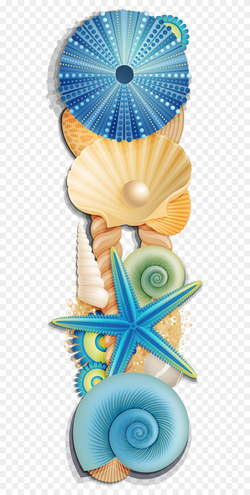 531x1600 Foto Avtor Arana Na Yandeks Clipart Seashells And Starfish Border, Sea Life, Animal, Seashell HD PNG Download