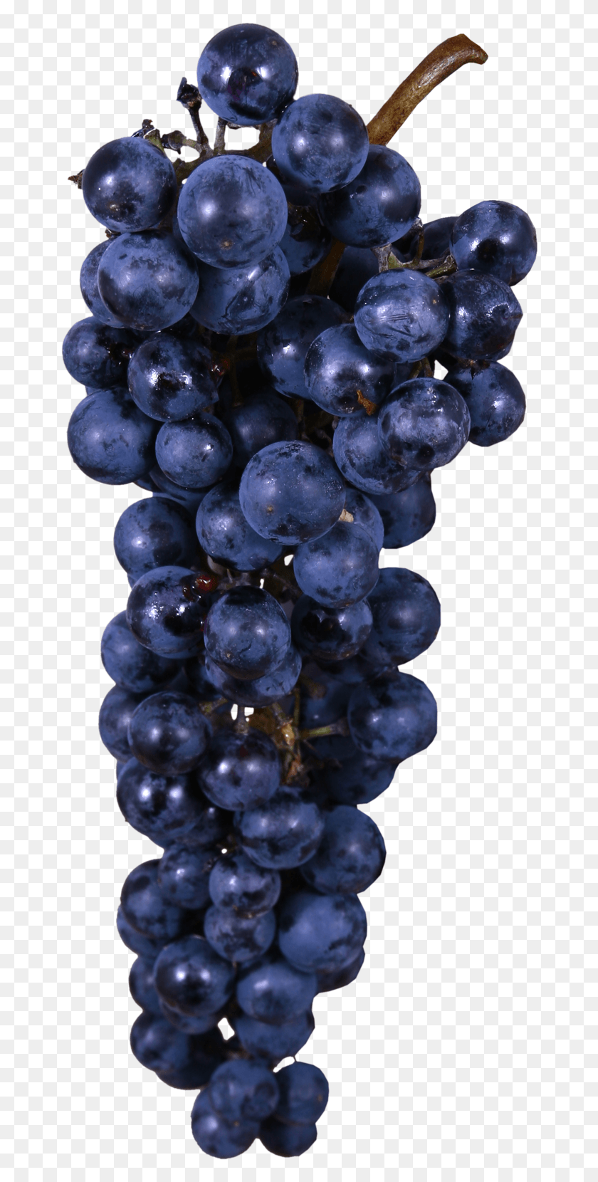 670x1600 Foto Avtor Arana Na Yandeks Seedless Fruit, Plant, Grapes, Food HD PNG Download