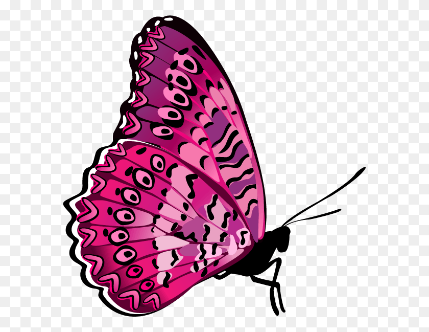 593x589 Foto Avtor Missis Brush Footed Butterfly, Invertebrado, Animal, Insecto Hd Png