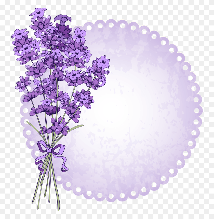 752x800 Foto Avtor Soloveika Lavender Flower Vector, Plant, Blossom, Birthday Cake HD PNG Download