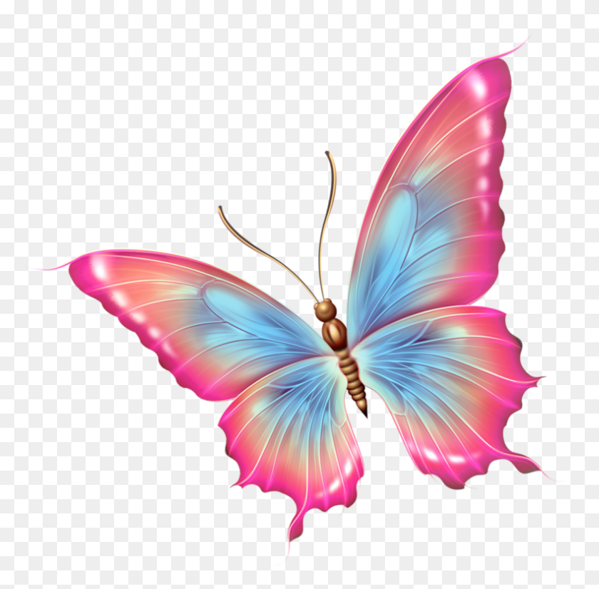 789x775 Foto Avtor Ya Pink And Blue Butterfly, Ornament, Pattern, Fractal HD PNG Download