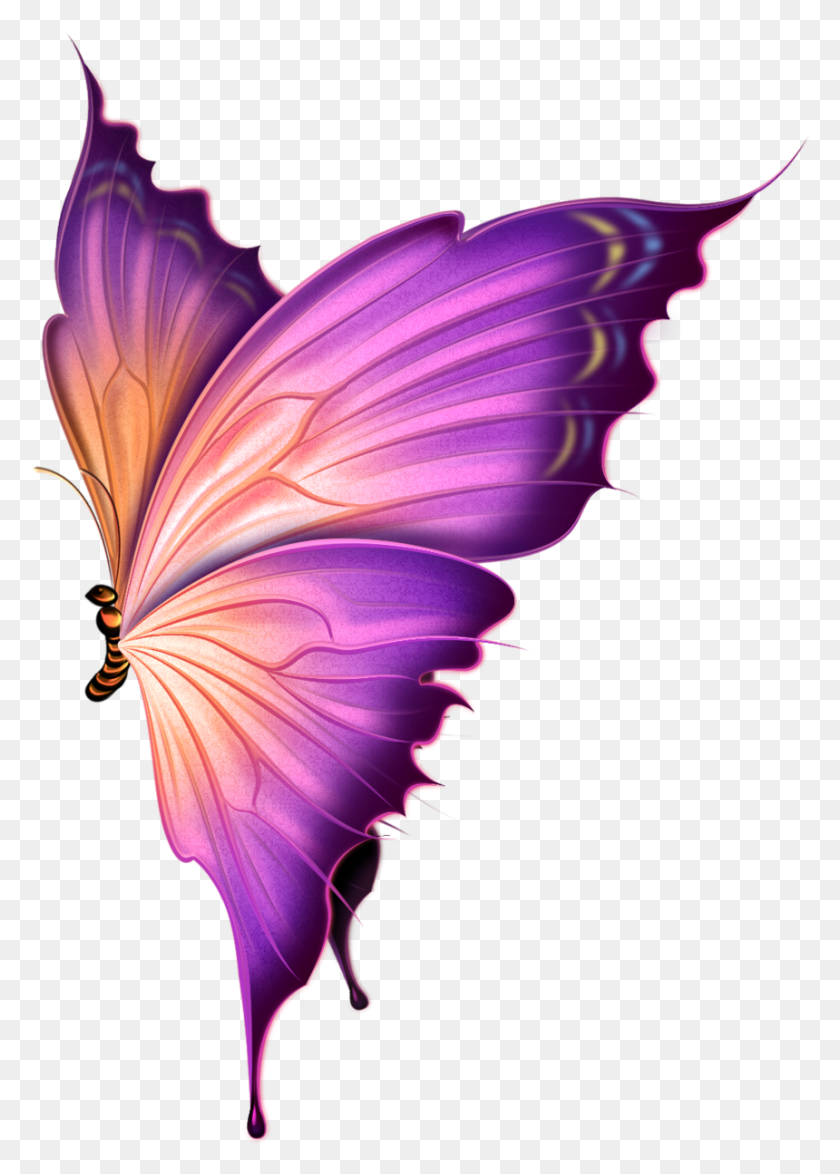 860x1229 Фото Автор Я. Прозрачная Фиолетовая Бабочка, Графика, Узор Hd Png Скачать