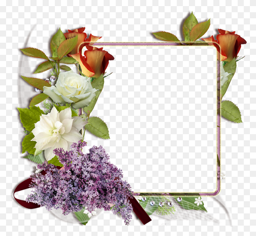 1189x1089 Fotomontaje Con Rosas Blancas Y Rojas Descargar Marcos Marcos Rosas En, Plant, Flower, Blossom Hd Png Download