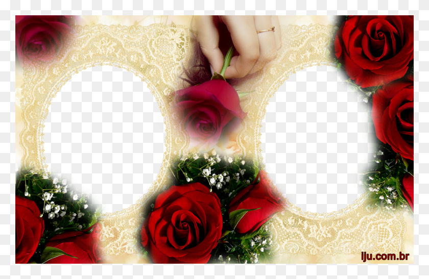 1600x1000 Fotos Casamento Flores Moldura P 2 Fotos Em, Rose, Flor, Planta Hd Png Download
