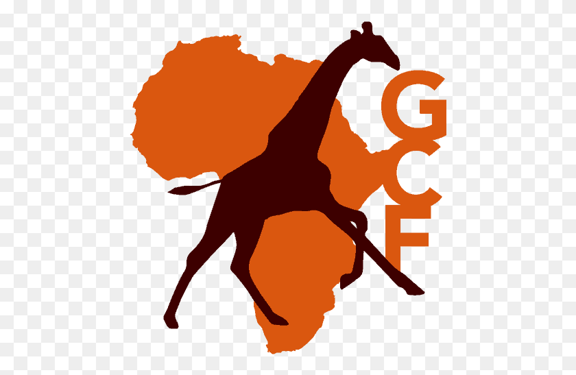 462x487 Foundation Date Giraffe Conservation Foundation, Dinosaur, Reptile, Animal HD PNG Download