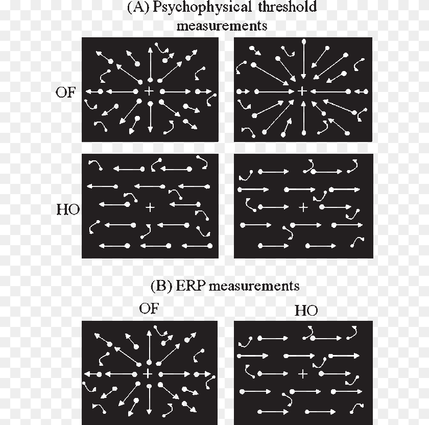 Four Hundred White Square Dots Were Randomly Presented Clock, Text PNG