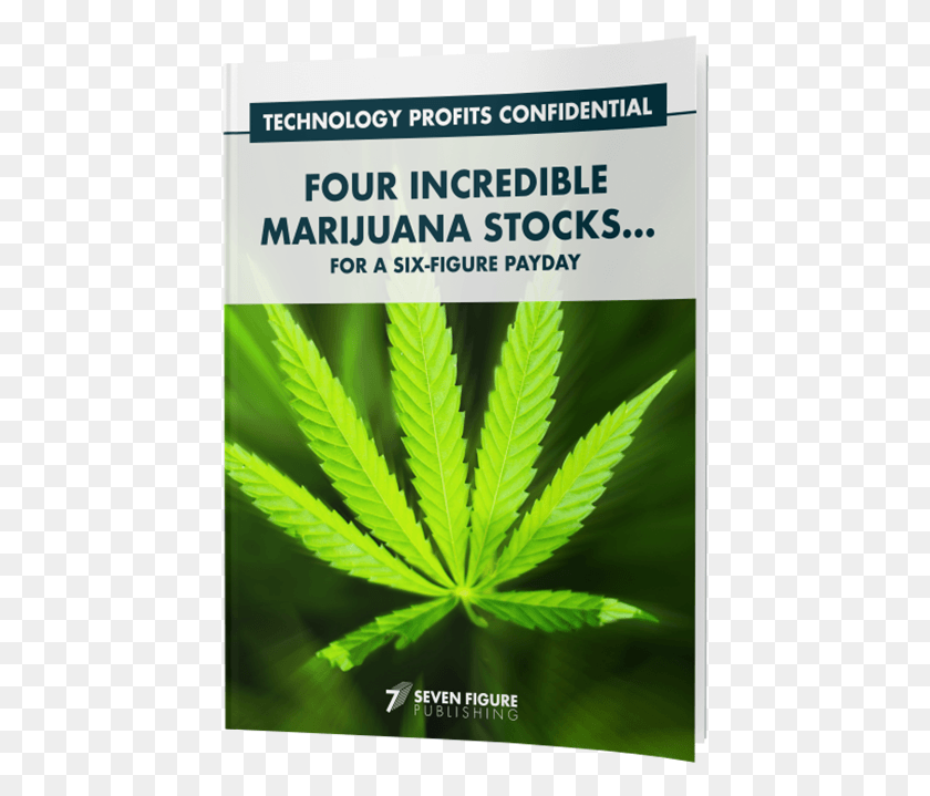 440x659 Four Incredible Marijuana Stocks For A Six Figure Payday, Plant, Weed, Hemp HD PNG Download
