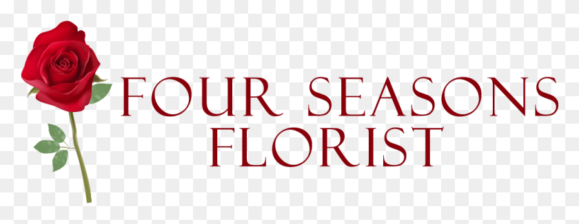 1001x342 Four Seasons Florist Carmine, Text, Alphabet, Rose HD PNG Download
