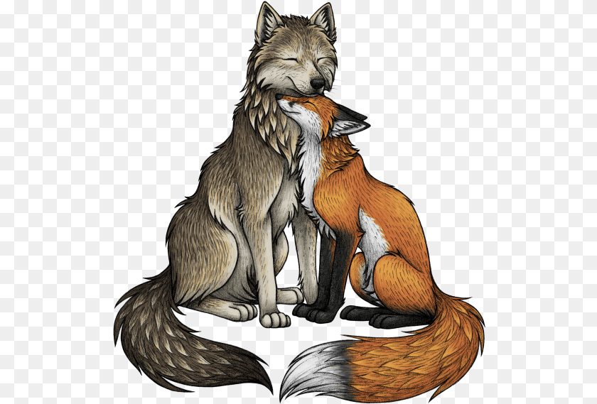 525x569 Fox And A Wolf, Mammal, Animal, Wildlife, Person Clipart PNG