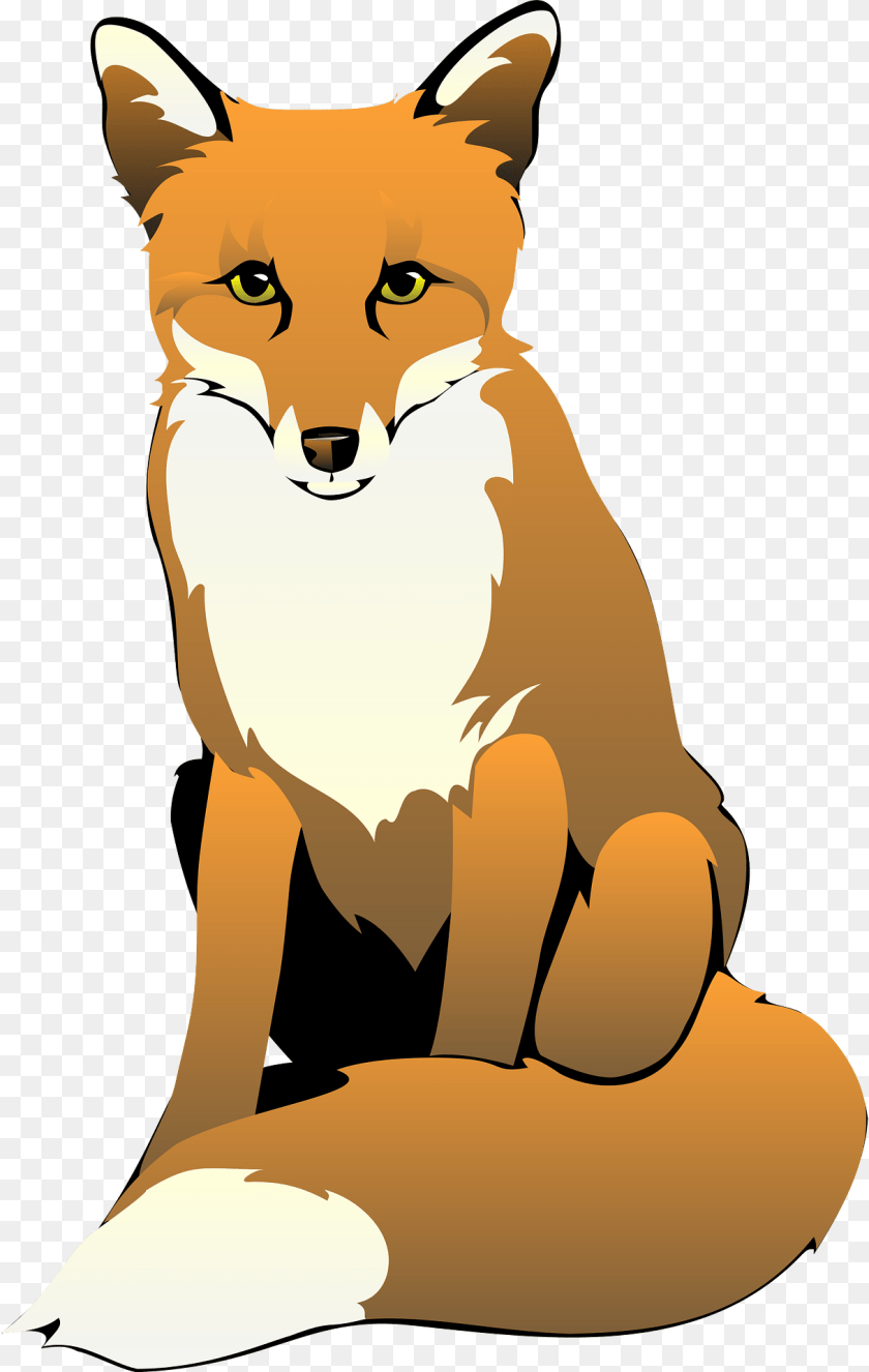 Fox Baby, Person, Animal, Mammal Clipart PNG