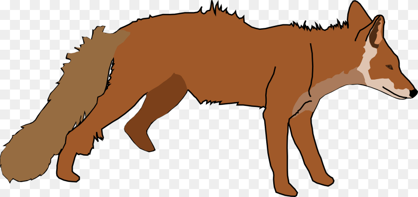 Fox Clipart, Animal, Coyote, Mammal, Red Fox PNG