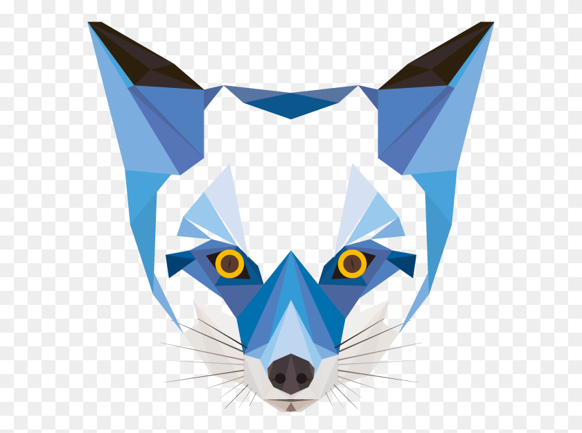 589x565 Fox Icon Google Search Animal Geometric Shapes, Mammal, Poster, Advertisement HD PNG Download