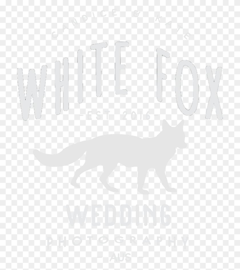 723x885 Fox Shine Cat, Label, Text, Word HD PNG Download