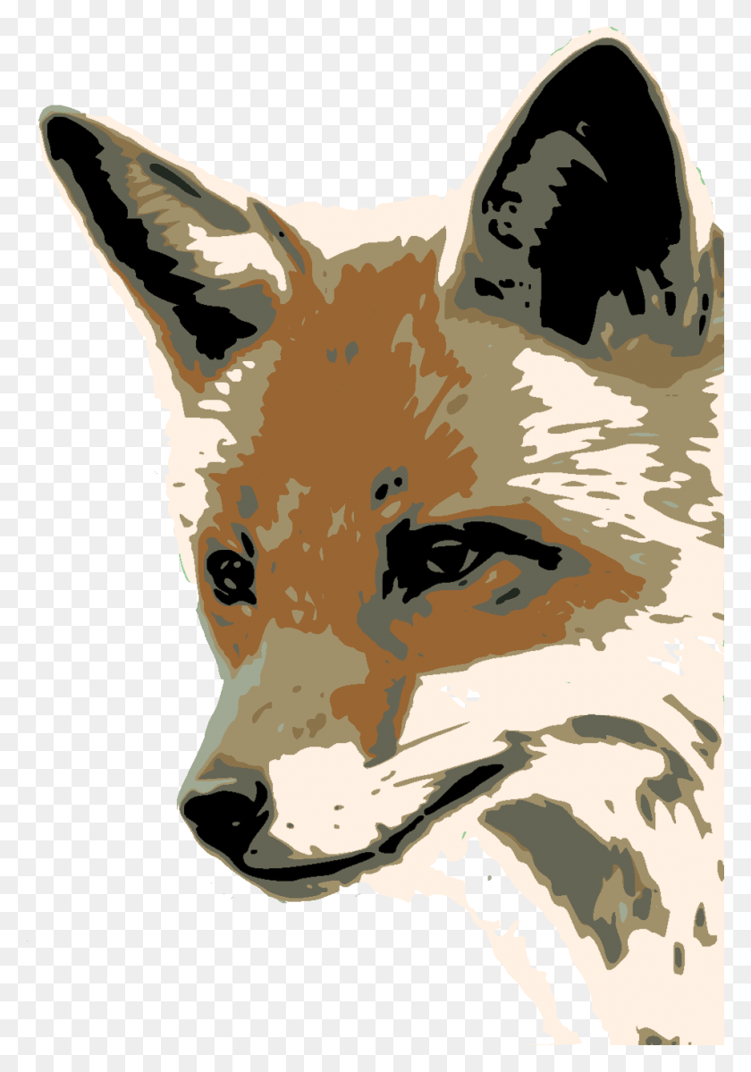 953x1392 Foxface Dis Fox Face, Mammal, Animal, Wildlife HD PNG Download