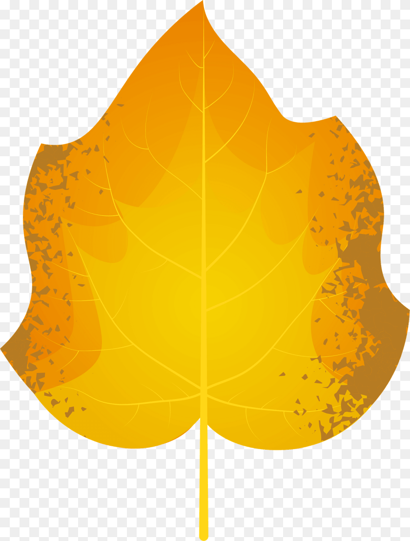 1455x1920 Foxglove Tree Autumn Leaf Clipart, Plant, Maple Leaf, Animal, Fish PNG