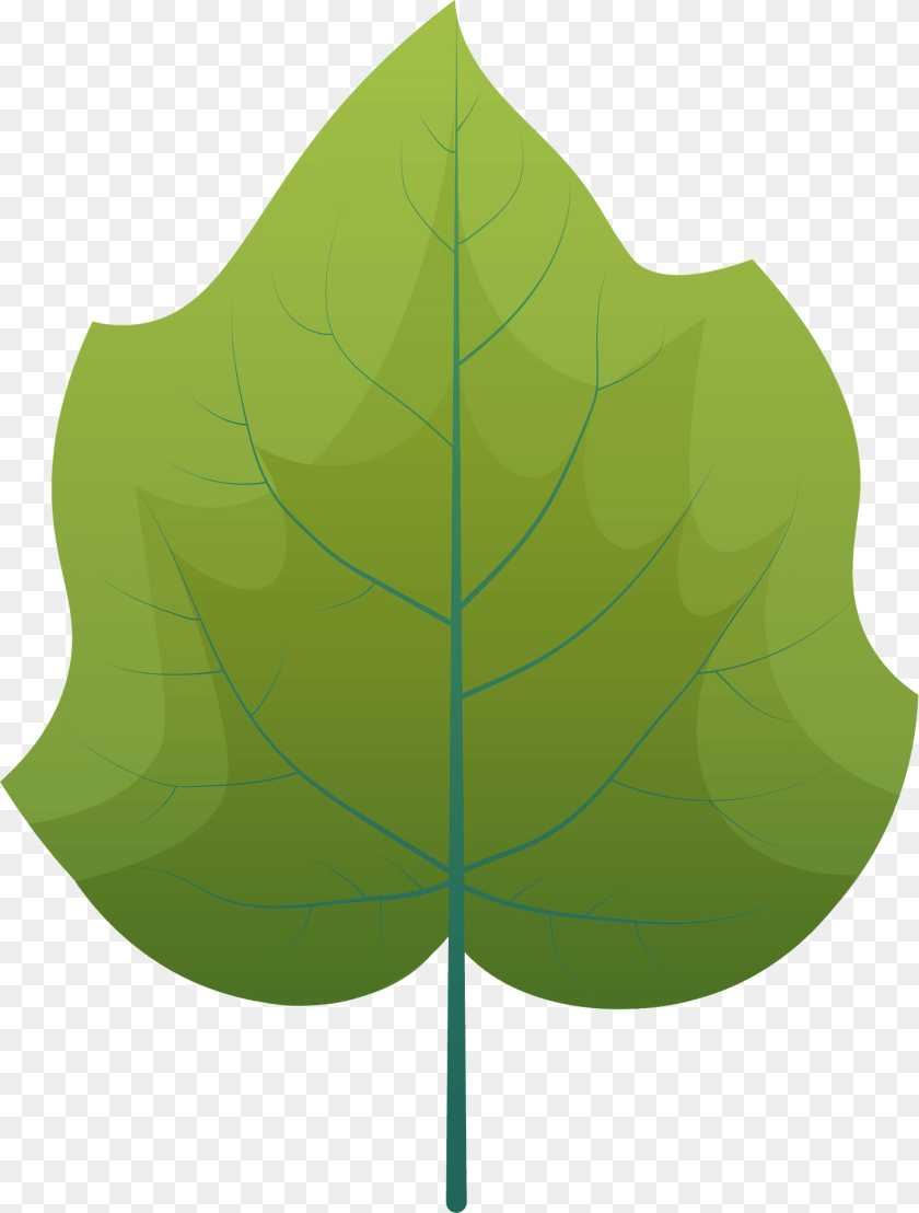 1455x1920 Foxglove Tree Summer Leaf Clipart, Plant, Oak, Sycamore, Animal PNG