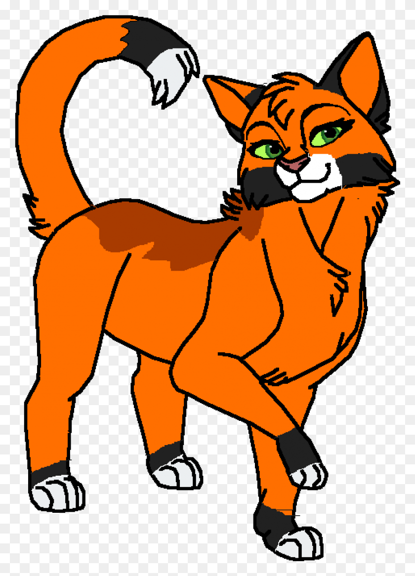 955x1355 Gato De Cola De Zorra Png / Persona Png