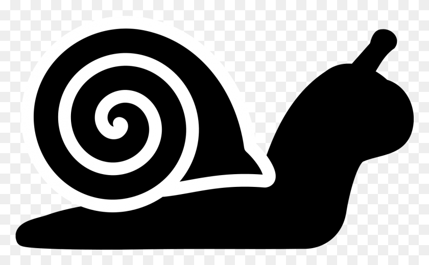 1281x754 Fp Snail Icon, Спираль, Коврик, Катушка Png Скачать