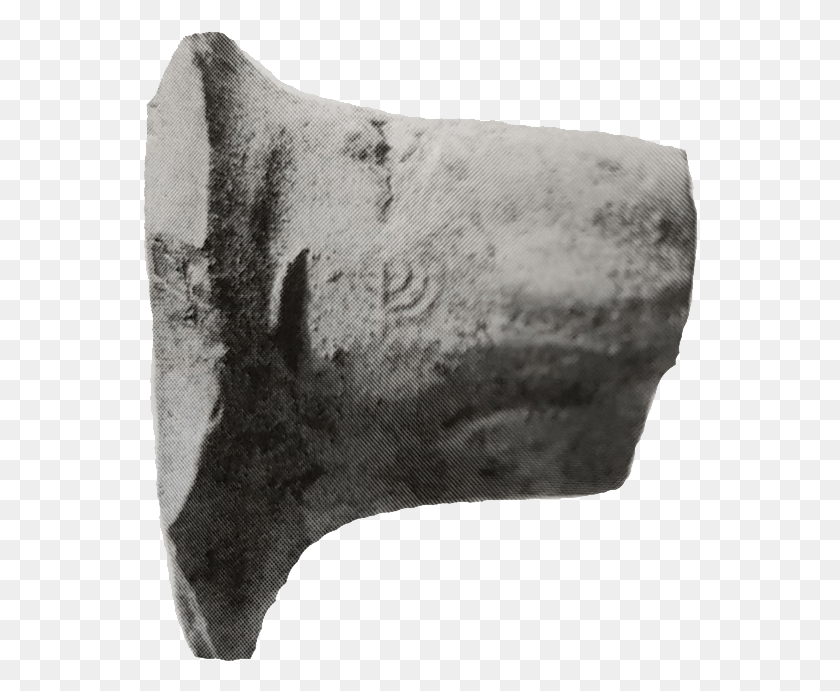 556x631 Fragment Of A Pottery Handle Bearing A Seal Imprint Cushion, X-ray, Medical Imaging X-ray Film, Ct Scan HD PNG Download