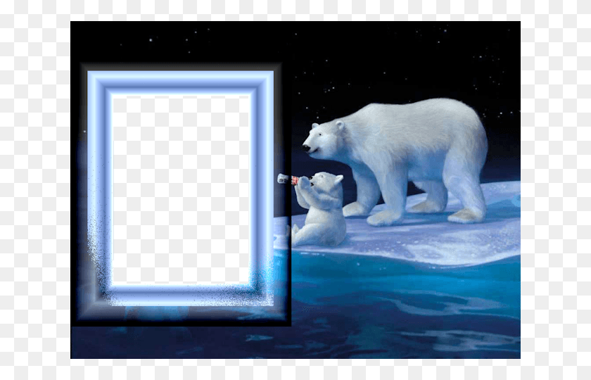 640x480 Рамка 89 Кока-Кола Белый Медведь Рождество, Медведь, Дикая Природа, Млекопитающее Png Скачать