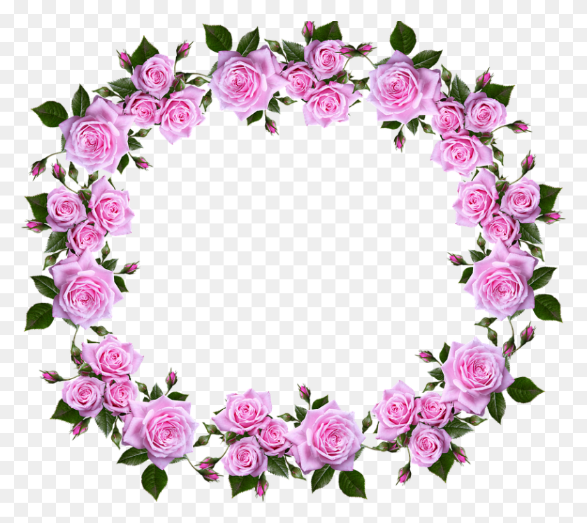 815x720 Frame Border Floral Roses Decorative Flower Rose Frame Border Designs, Plant, Blossom, Floral Design HD PNG Download