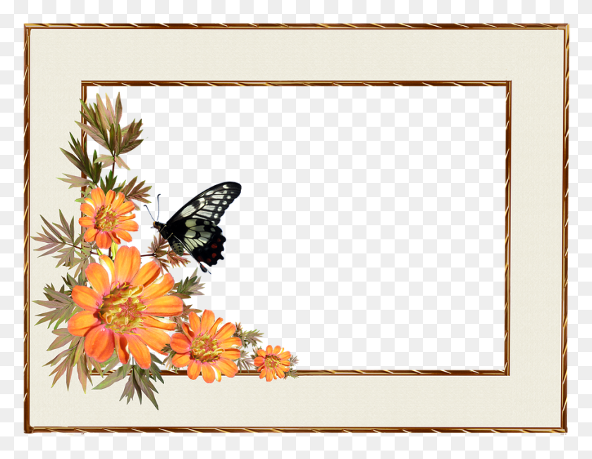 903x686 Frame Border Flowers Butterfly Decorative Border Flower Frames Clipart, Plant, Animal, Insect HD PNG Download
