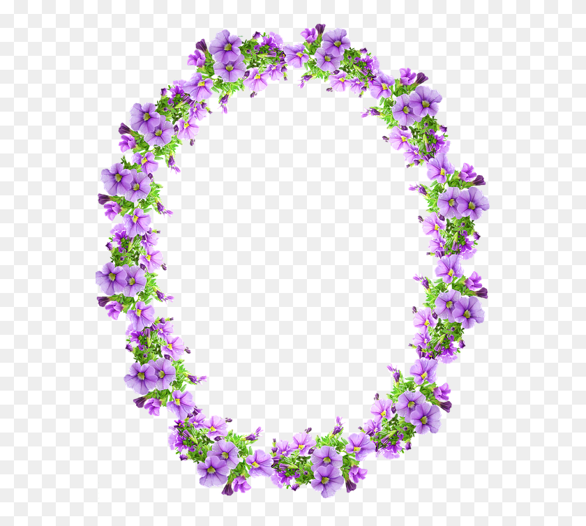 567x694 Frame Border Mauve Flowers Decorative Circle, Plant, Flower, Blossom Descargar Hd Png